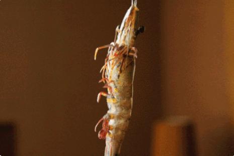 白对虾做法简单又好吃,白对虾怎么做才好吃