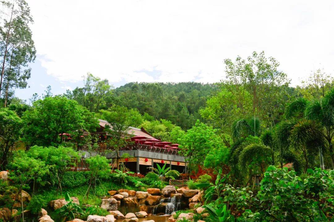 1.5h车程，过个有氧假期，鹭湖岭南花园山景房+半山温泉2人仅398