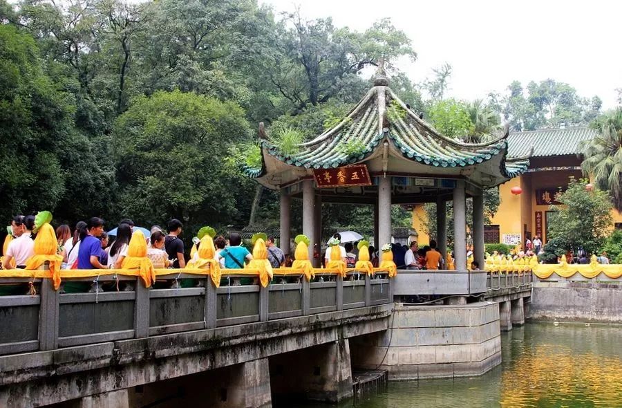 国庆与家人、朋友住韶关碧桂园*阳城太**凤凰酒店享美好假期