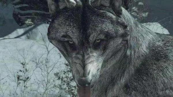 极度恐慌2捡枪,极度恐慌3屠宰场