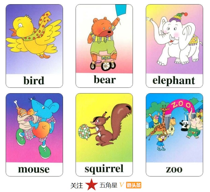 小学三年级英语单词识图卡,少儿英语看图片学单词工具篇