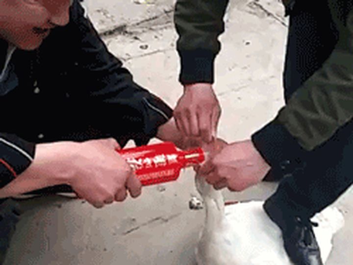 平价羽绒服如何选择好品牌,1000-2000哪个品牌羽绒服款式好