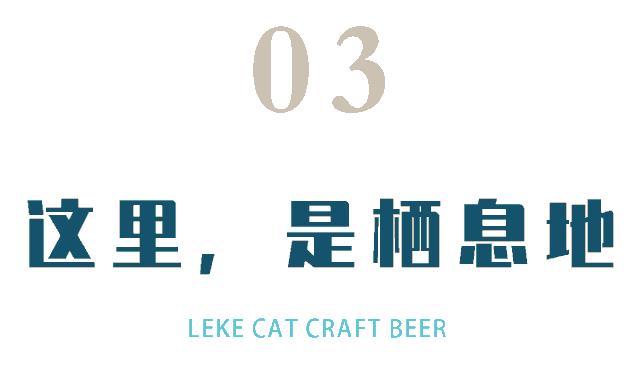 失眠企鹅精酿酒馆中原万达店,精酿酒馆万达金街店