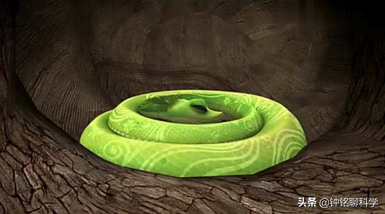 4名失联地质人员仍在搜救中,考察队员4人失联原因