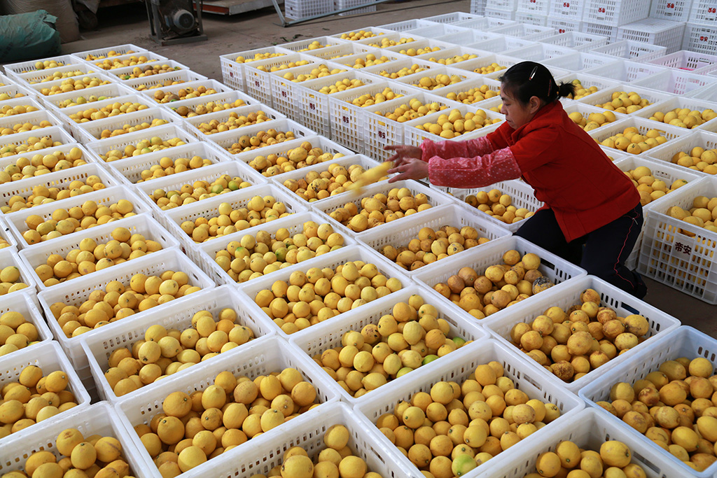 重庆有什么适合居住的小镇,重庆最适合养老的世外桃源