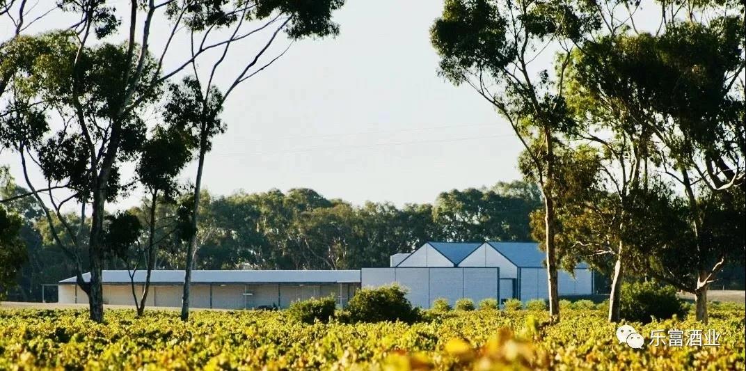 一篇读懂组合贷,一篇了解六大红葡萄酒品种