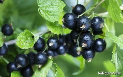 去*疆新**旅游，建议尝尝这5种特有的“水果”，好吃营养还不贵