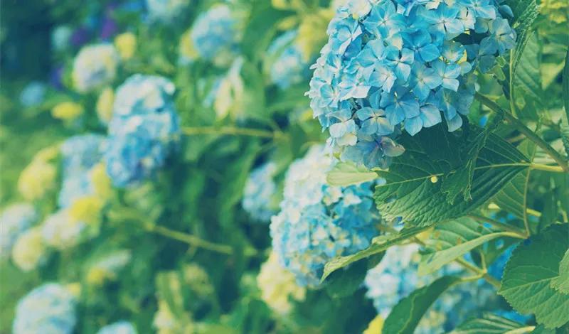 带孩子旅游不适合去寺庙,亲子游不建议带3岁宝宝去哪