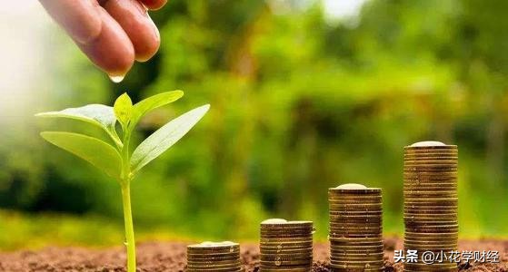 理财小白如何选股票,理财小白投资什么最靠谱