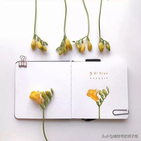 情感咨询|栗子姐每日情感问答(0731)