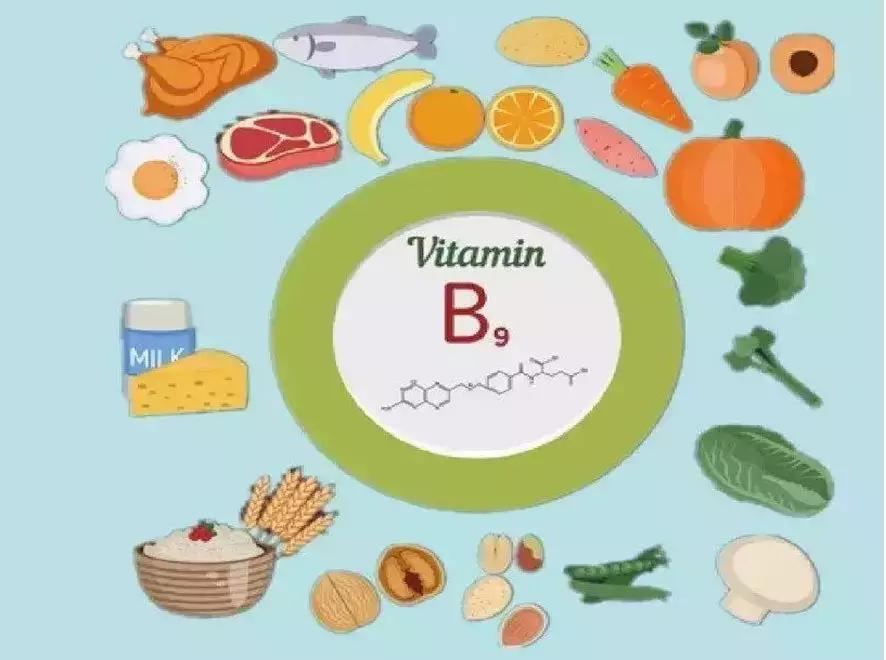 叶酸是备孕时候吃还是怀孕期间吃,备孕期间吃什么叶酸有助于怀孕