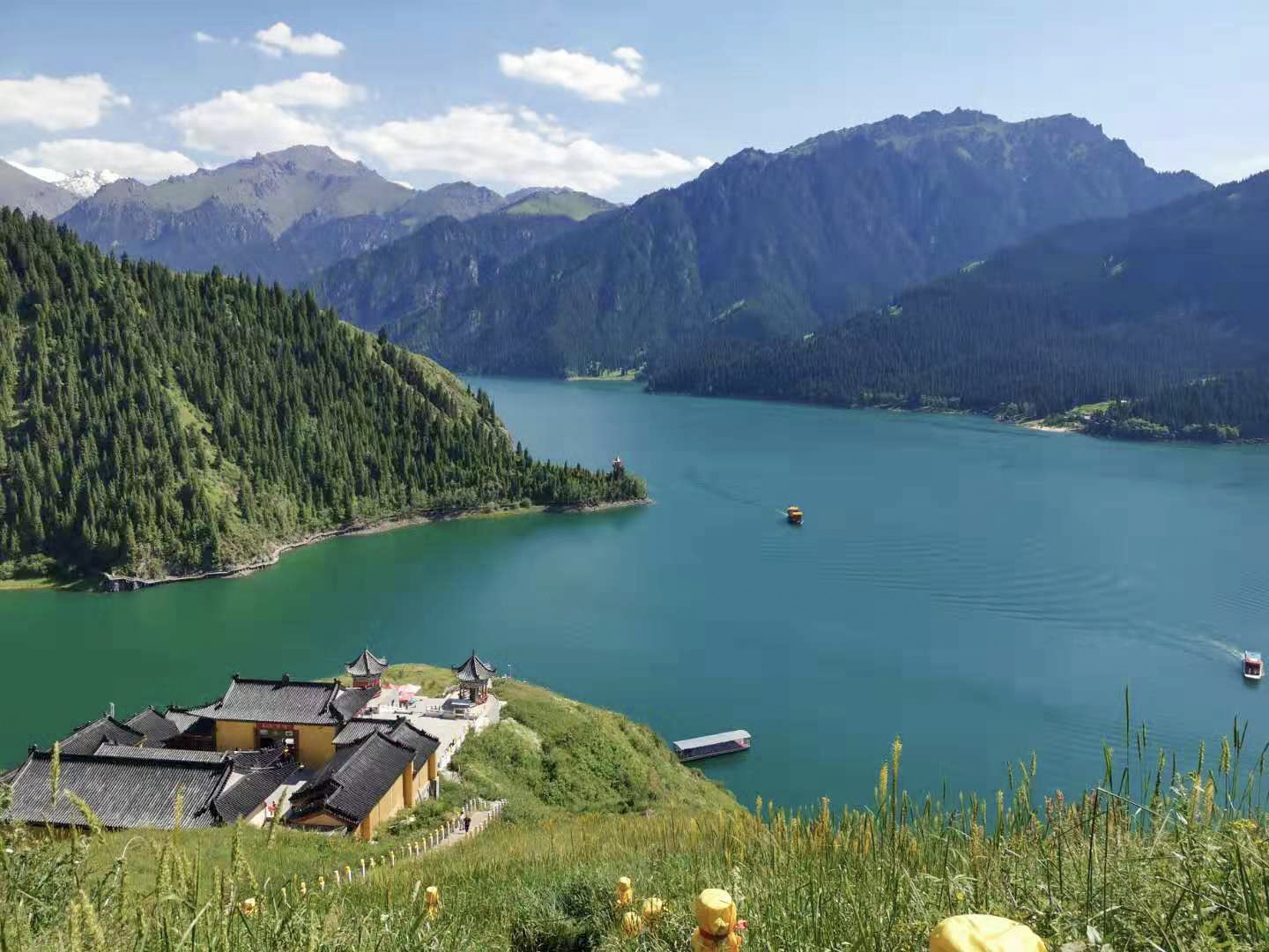 65岁老人新疆免费旅游一览表,66岁大爷游新疆