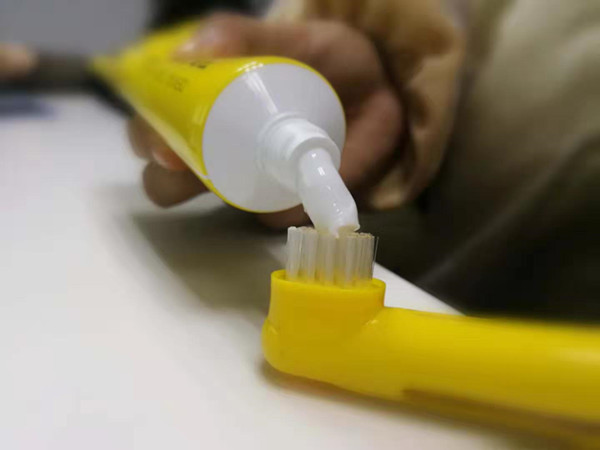 狗狗得了牙结石,狗狗得牙结石会有什么危害