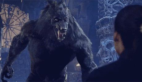 狼人症产生的原因,不道德行为有哪些危害