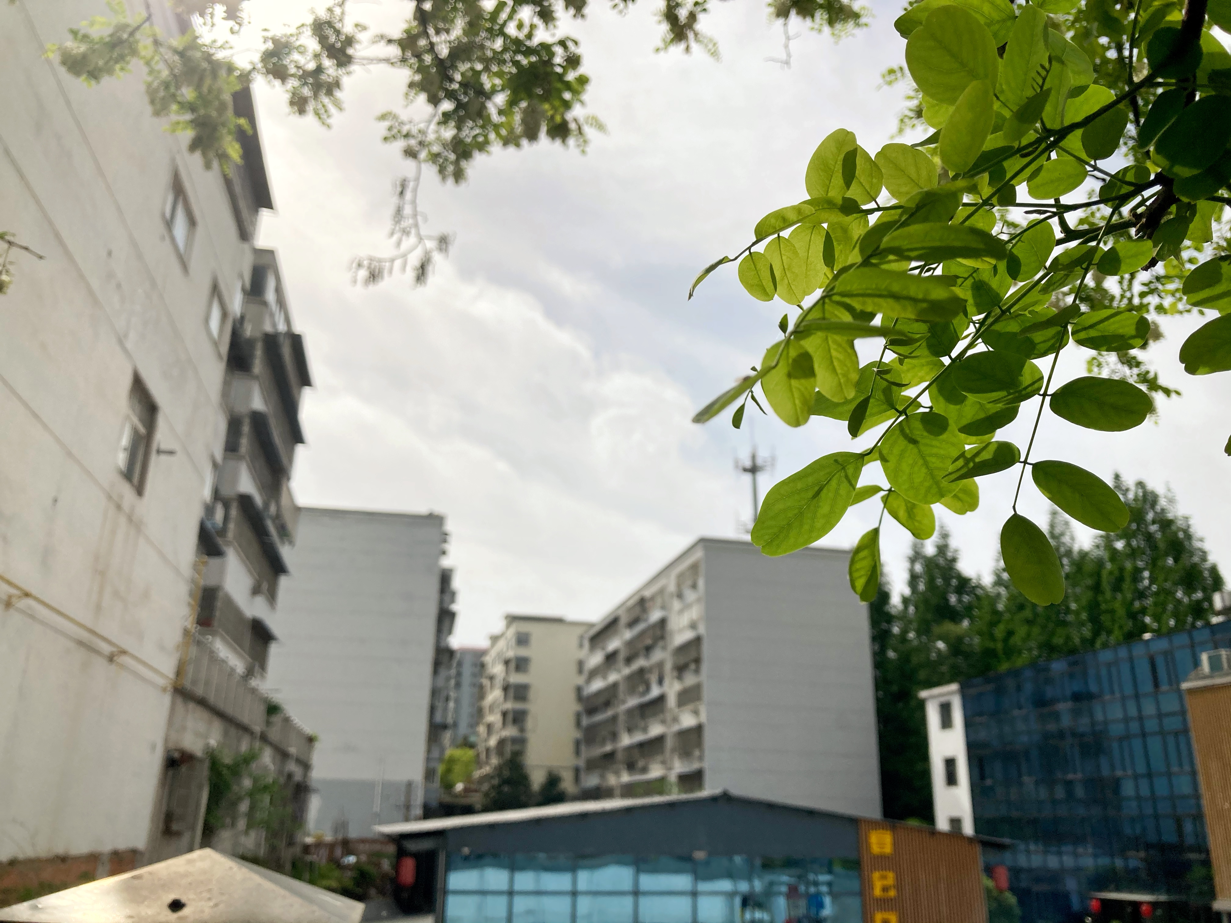 中国十大永久宜居城市信阳,河南信阳为什么是宜居城市