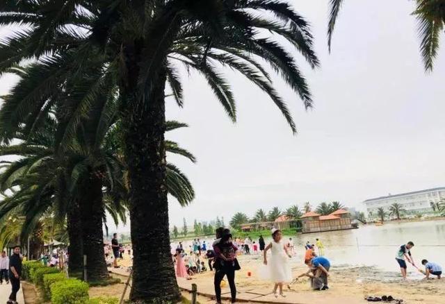 昆明必去的9个烧烤,昆明周边十个烧烤胜地