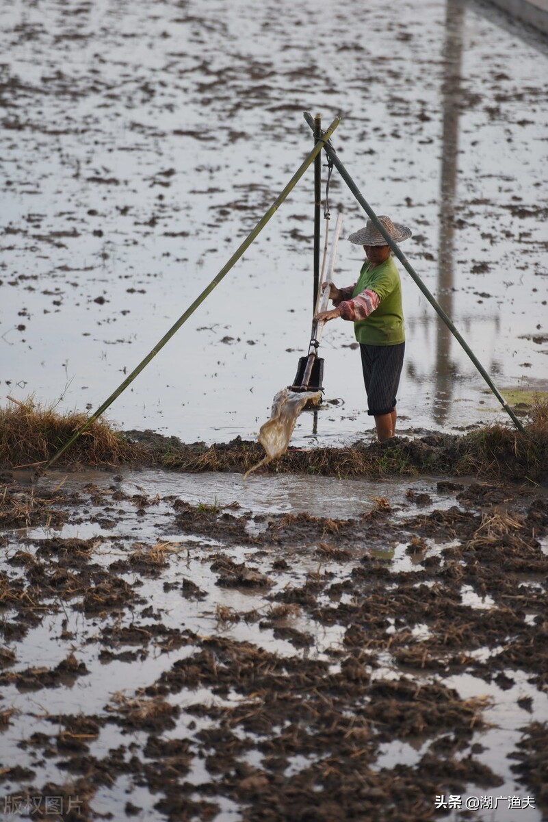 湖北话这些常用词汇您会写吗,湖北话这些常用词汇你会写吗