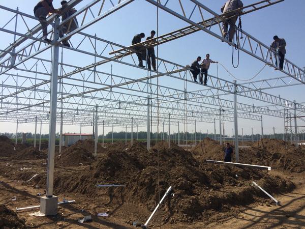 连栋温室大棚每亩造价是多少钱,连栋温室大棚建造多少钱一平米