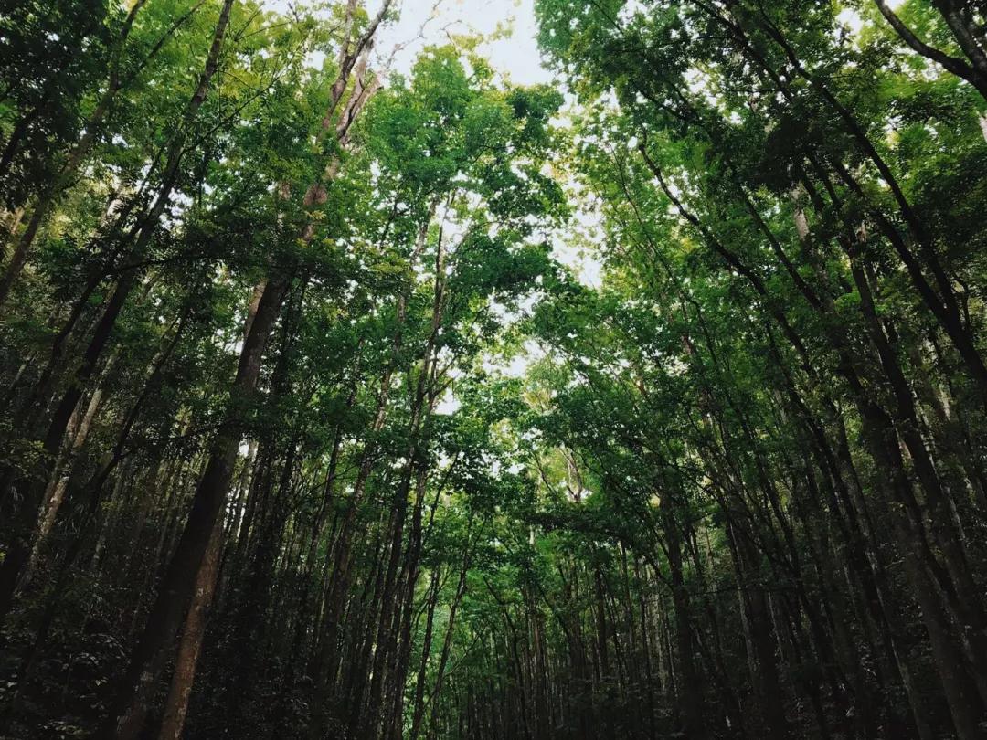 菲律宾自由潜水最好的地方,菲律宾旅游潜水