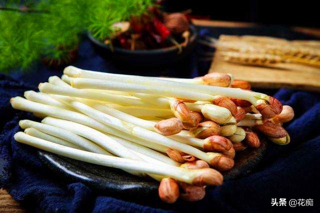 好吃新鲜花生,怎么发花生芽又粗又嫩