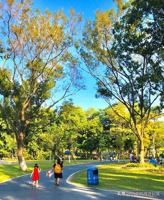 东莞植物园美丽好风景,东莞植物园有什么景色