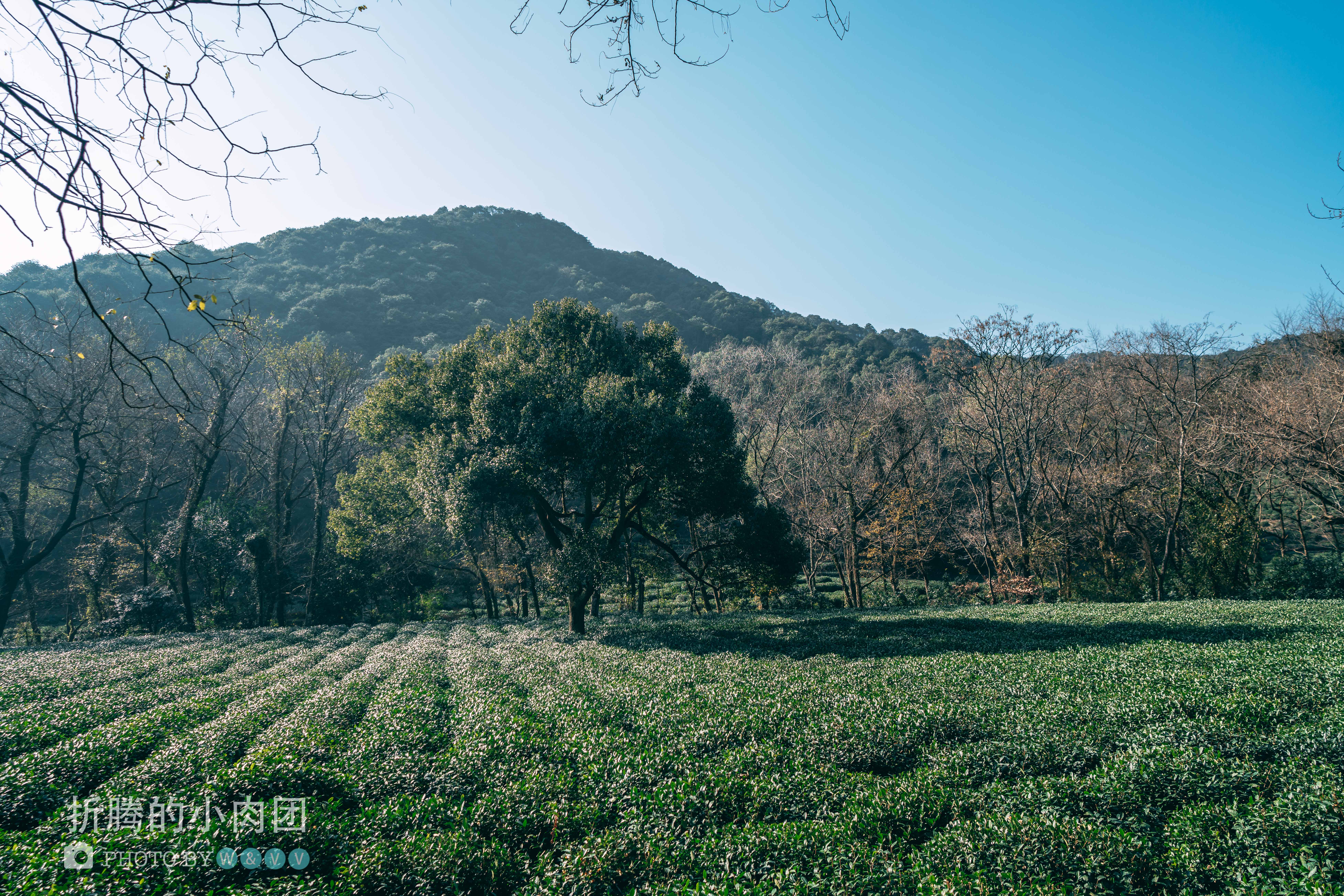 深度游玩杭州西湖,众人皆爱江南韵唯我独赏十二钗