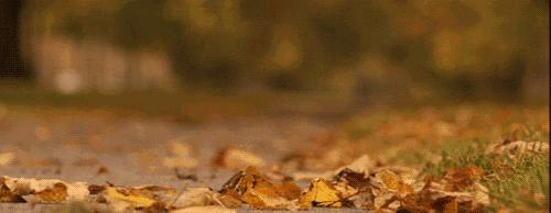 贝克汉姆爱穿什么裤子,贝克汉姆喜欢穿的奢侈服装品牌