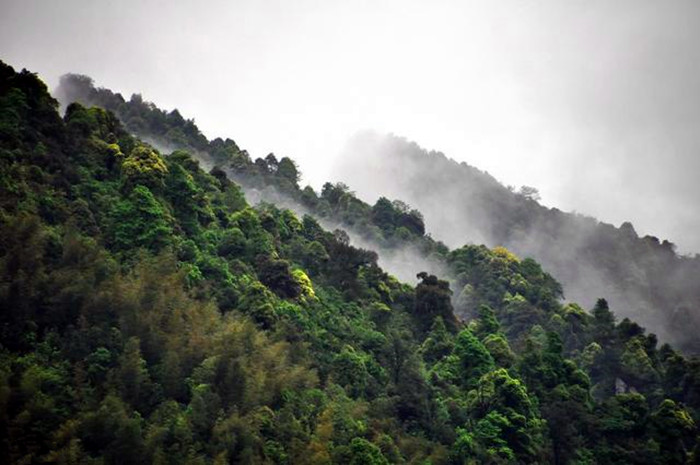 西部重庆：綦彩画廊留人香三养綦江名四方