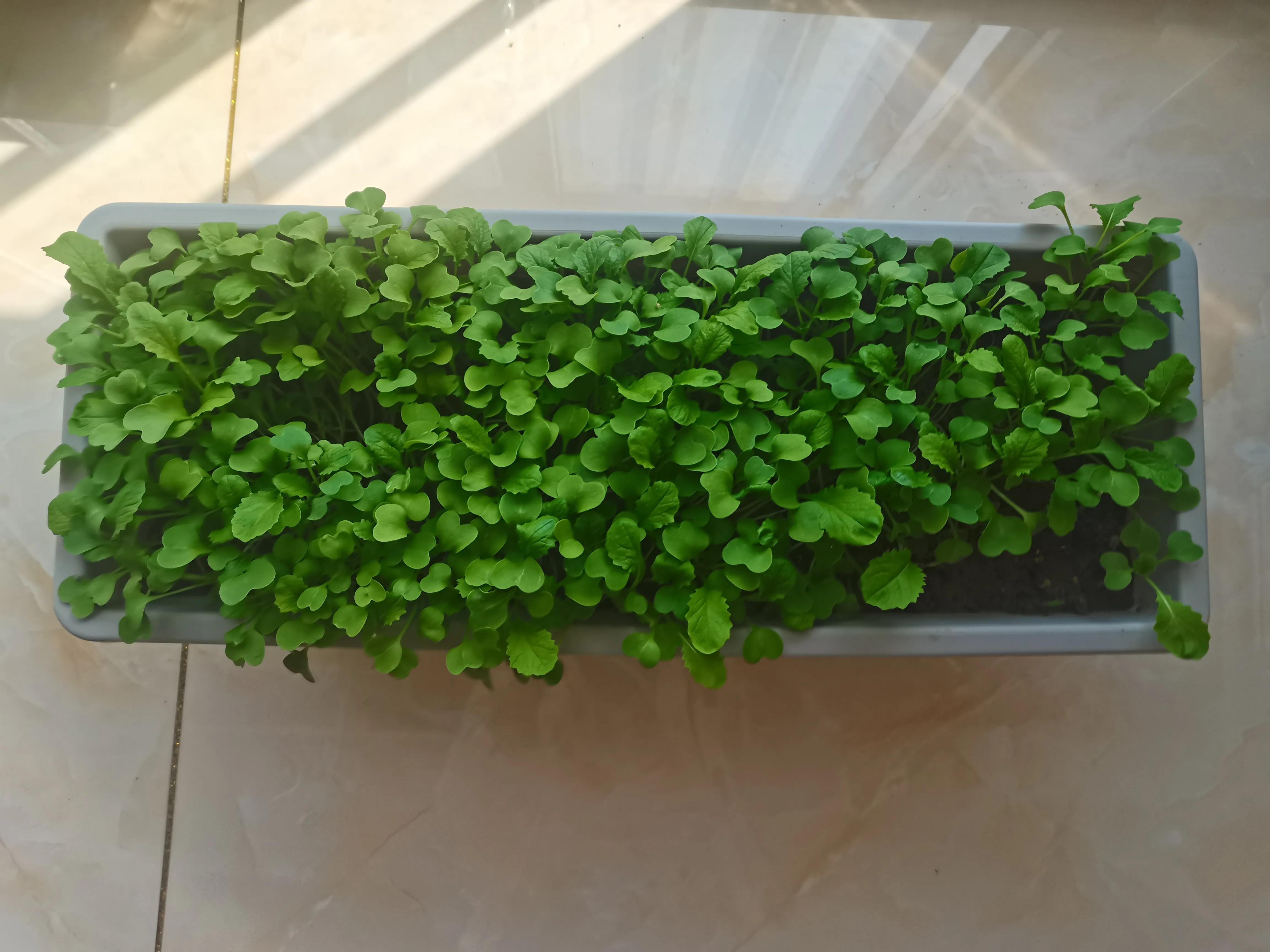 不要放弃农村的宅基地,不要放弃农村自己的宅基地