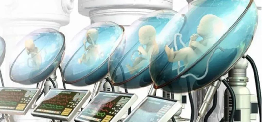 现在人造子宫成熟了吗,人造子宫是否会在2025年成功