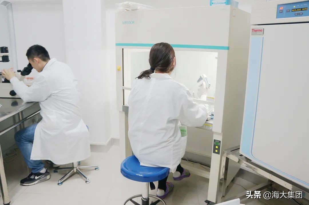 海大贾爱卿博士：坚守科技兴农初心翻开海大兽用生物制药新篇章