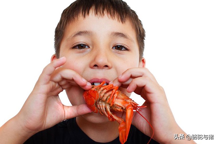 常见易引起过敏的食物,易引起过敏的食物有哪些