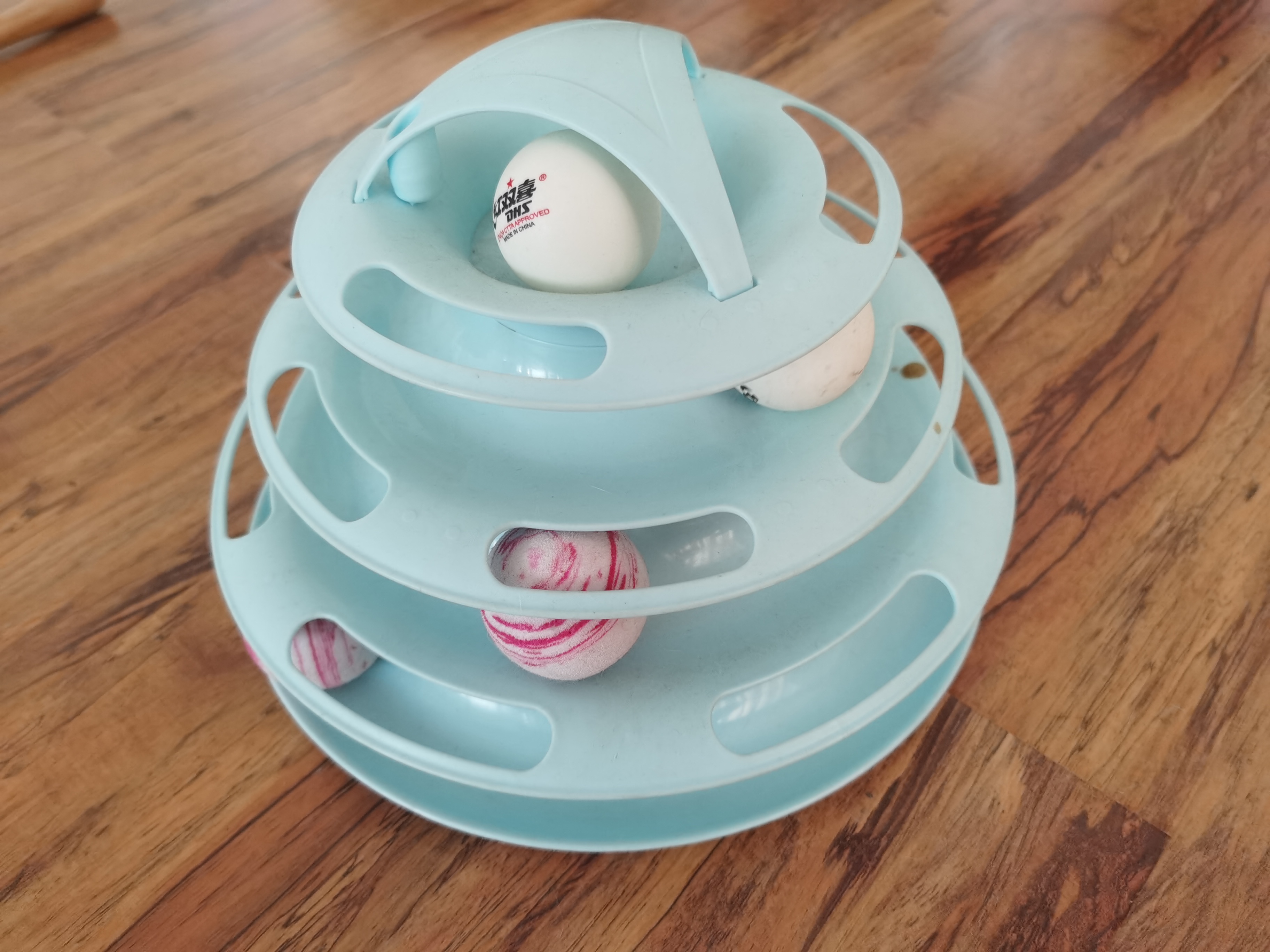 养猫必买物品 (养猫用品清单推荐)