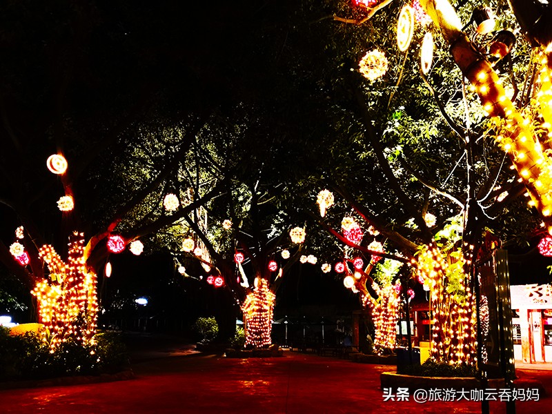 长隆夜公园攻略,长隆海洋夜光大巡游多长时间