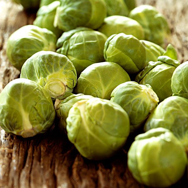 抱子甘蓝什么季节上市,抱子甘蓝和普通甘蓝的营养区别