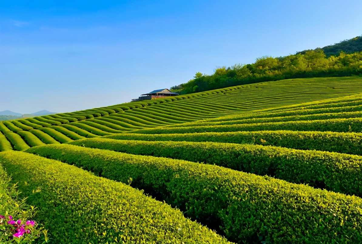 又一新晋网红打卡地,新晋绝美打卡地