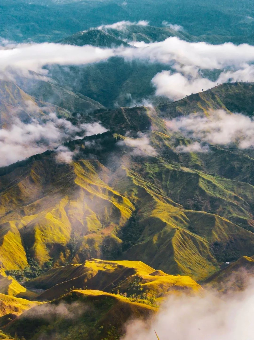 菲律宾碎玻璃,菲律宾塑料破碎