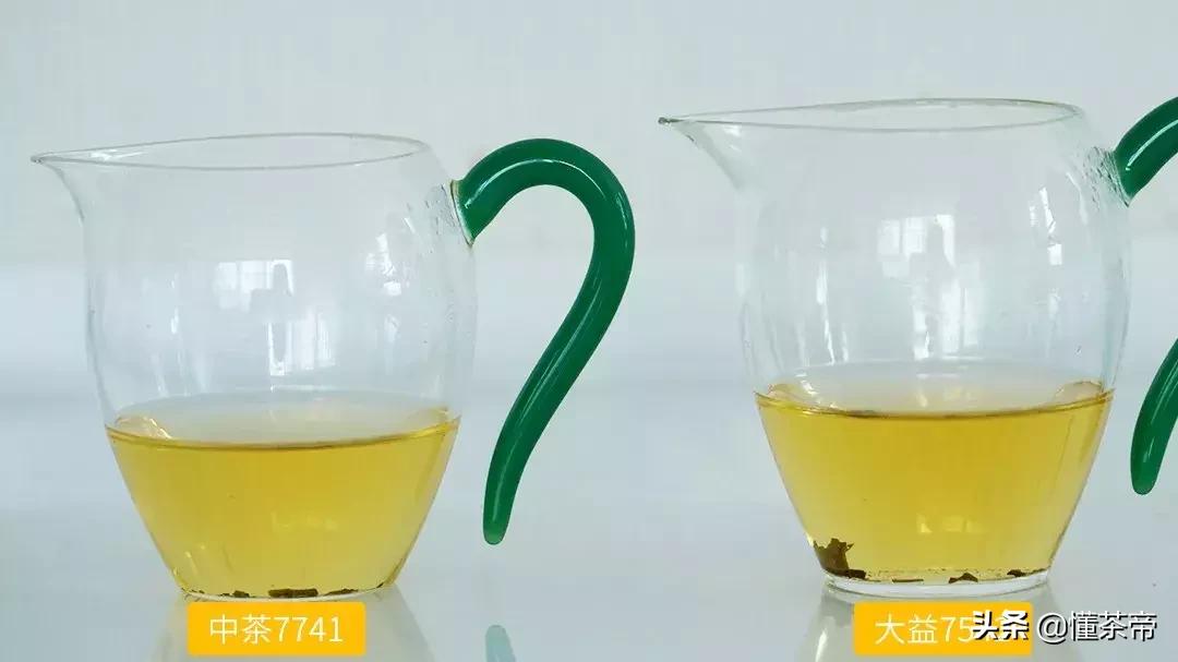 口粮茶选8653还是大益7542,大益茶7542和7572测评