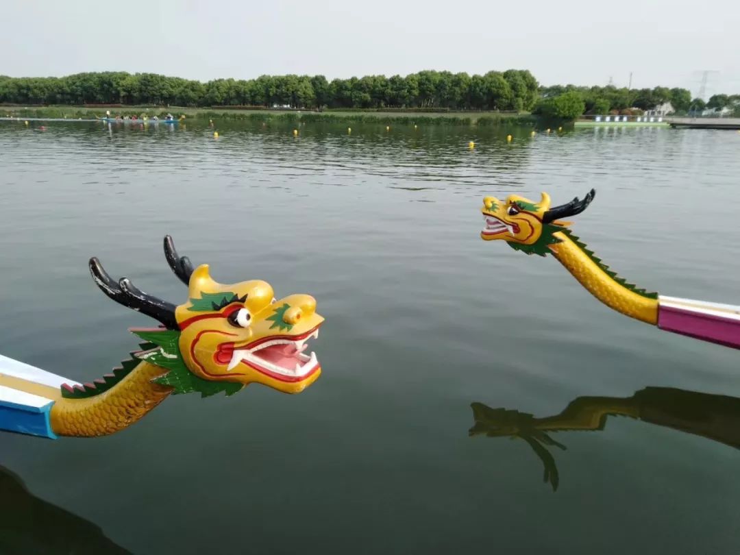 敖丙龙族为什么在天庭地位不高,史上最惨的龙族敖丙