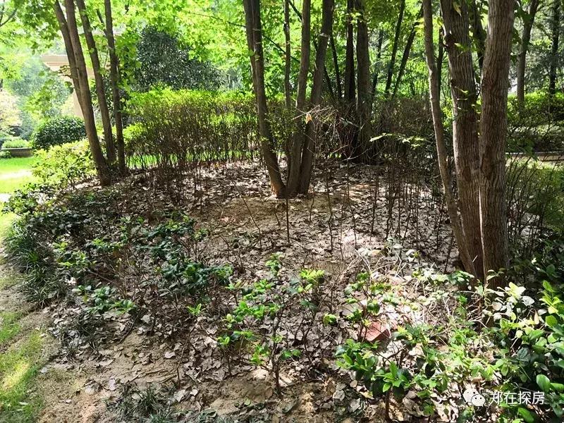 江汉区海马公园小区地址,海马公园高端住宅