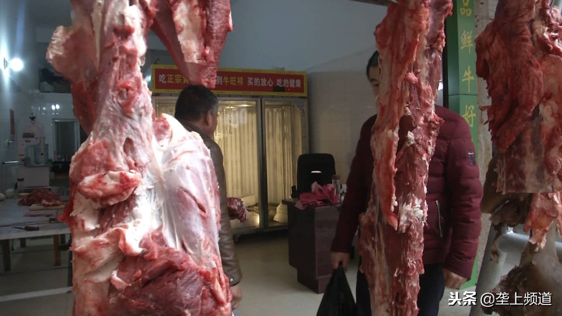 兵哥哥家禽养殖,兵哥哥教你养猪