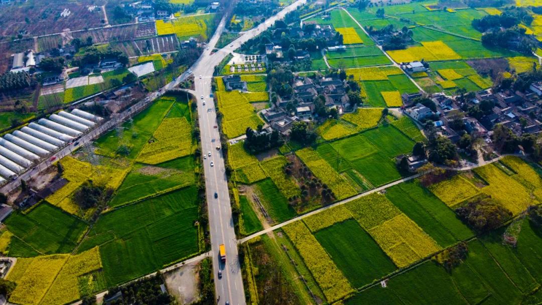 重要提醒5月起成都正式实施,成都9月1日通告