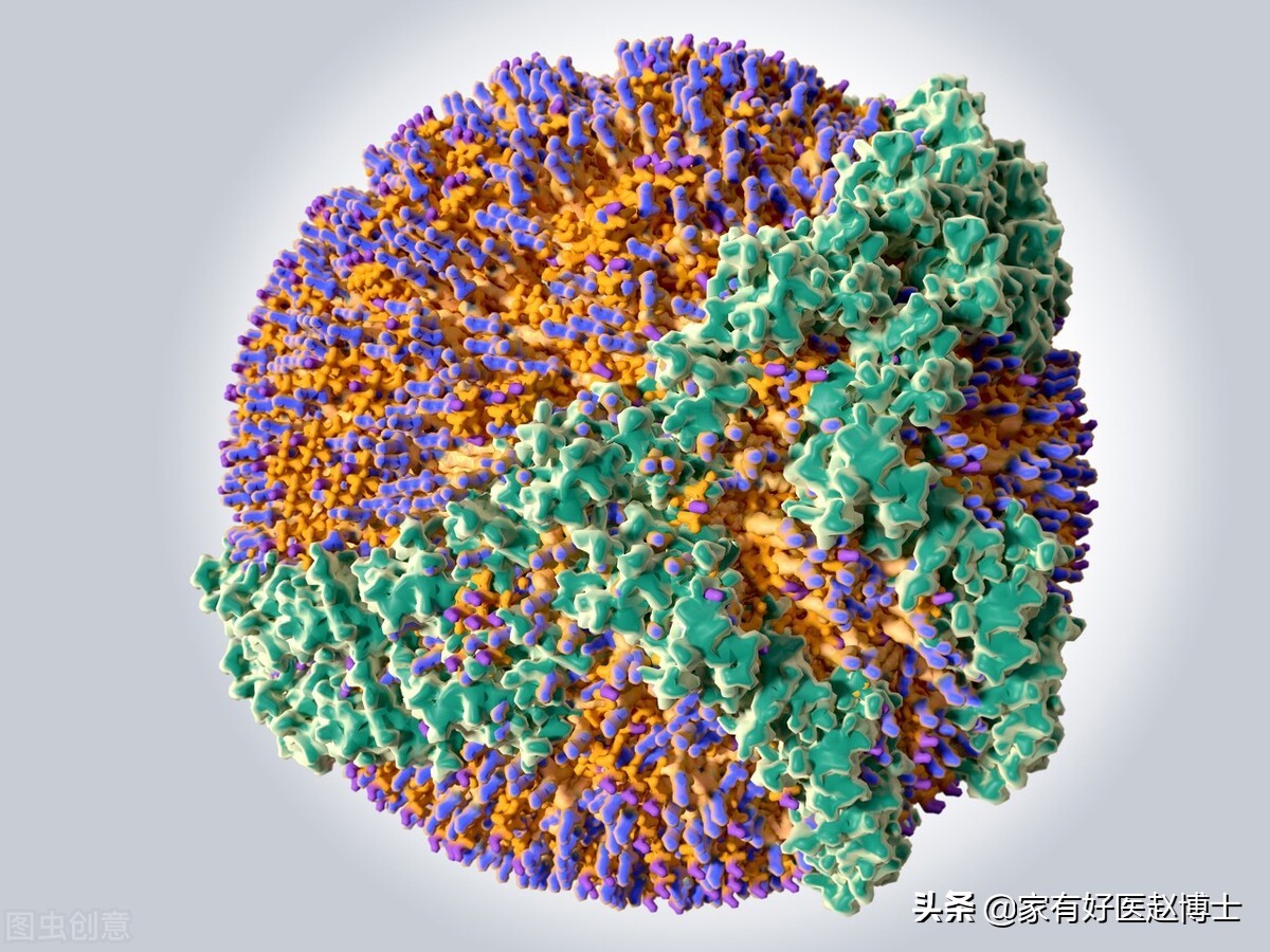 到底能不能软化血管和逆转斑块,使血管斑块变小要用多大剂量他汀