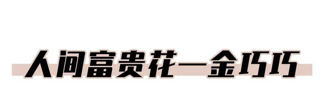 乘风破浪2姐姐们的名单,乘风破浪2的三位姐姐