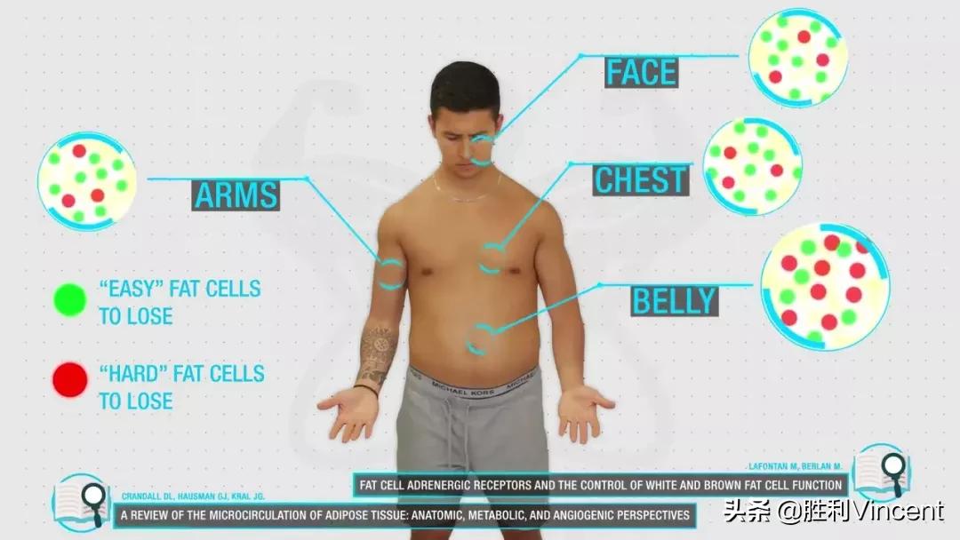 胖子练腹肌可以减肚子上的脂肪吗,最后两块腹肌上面有脂肪该怎么练