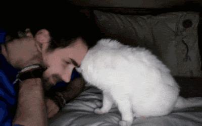 面对宠物的离去我们能做什么,怎么面对宠物离去的悲伤