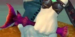 怀旧服防骑60以下练级装备选择,怀旧服治愈系装备推荐