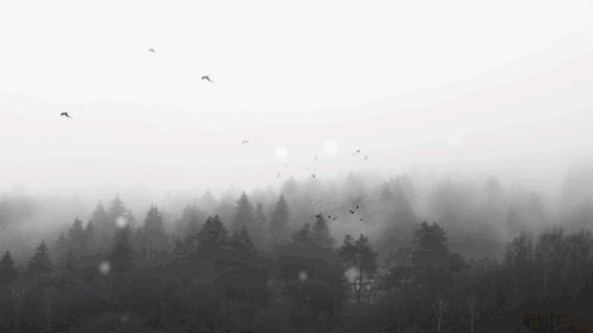 ae高级文字动画制作教程,ae制作迎新年动画教程