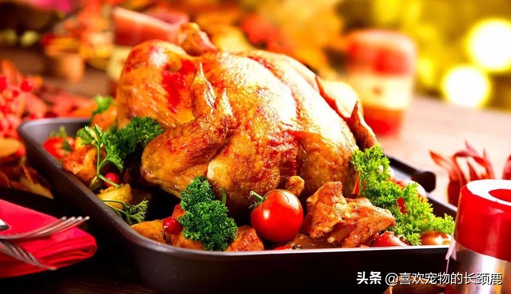 长得丑，火气大，价格昂贵，还不好吃，也许这就是火*吧鸡**