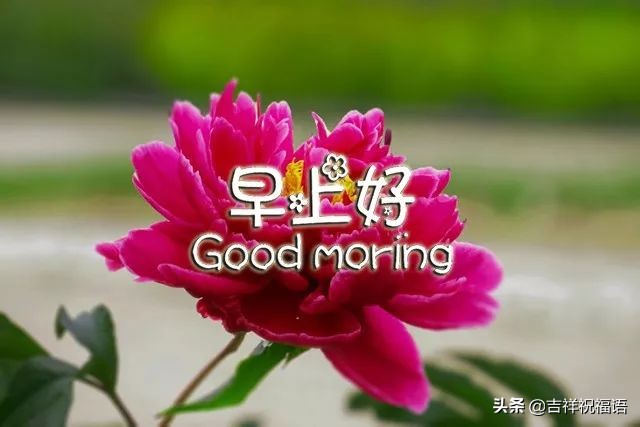 亲爱的早上好祝福送给优秀的人,早上好微信短语祝福朋友健康平安